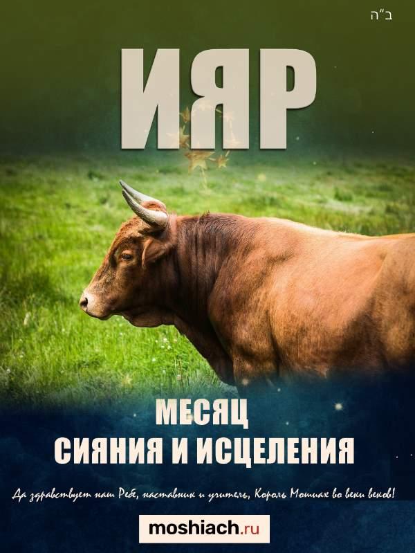 Ияр