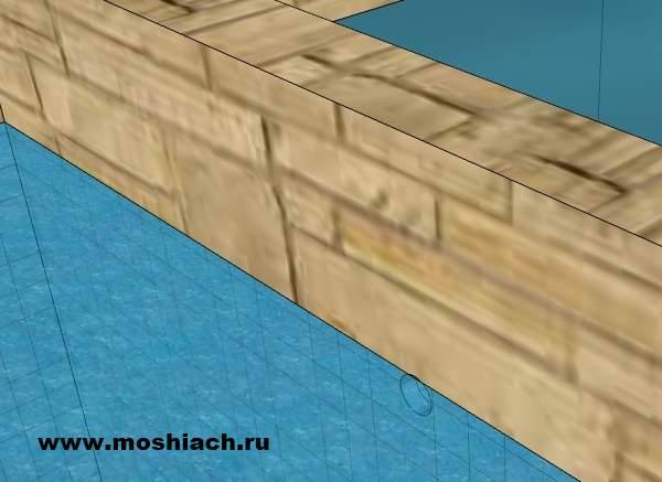 Ашака боковая