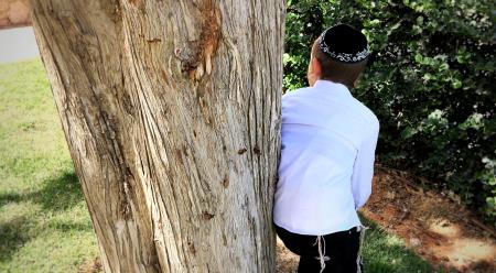 Сын ищет своего отца...