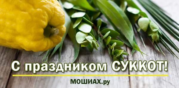 С праздником Суккот